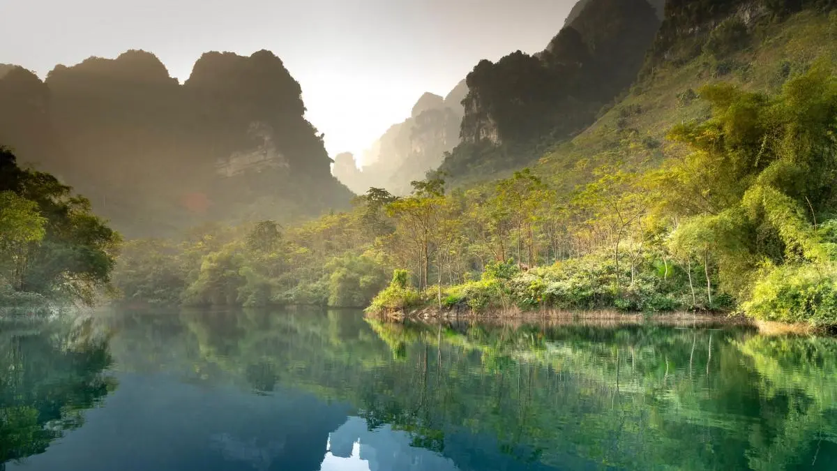 可靠性高性能
